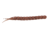 Trixster - 4.25 inch - 10 Count
