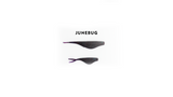 Stealth Shad - 3 inch or 2.25 inch