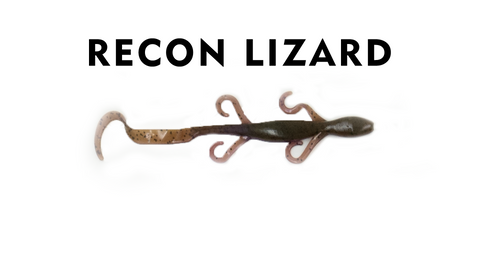 Recon Lizard - 6 inch -  12 Count