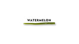 South Holston Straight Tail Worm - 12 Count Bag (Famous Little Green Worm)