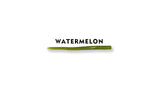 South Holston Straight Tail Worm - 50 Count Bag (Famous Little Green Worm)