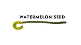 The Big Worm - 12 inch - 8 Count