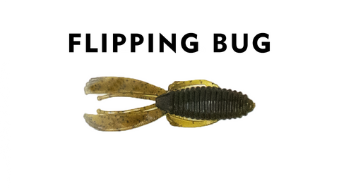 The Flipping Bug - 9 Count